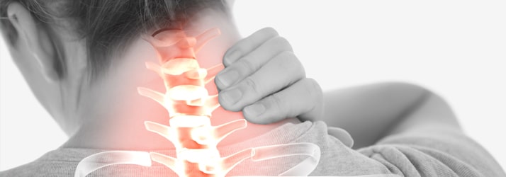 Chiropractic Brookfield WI Neck Pain